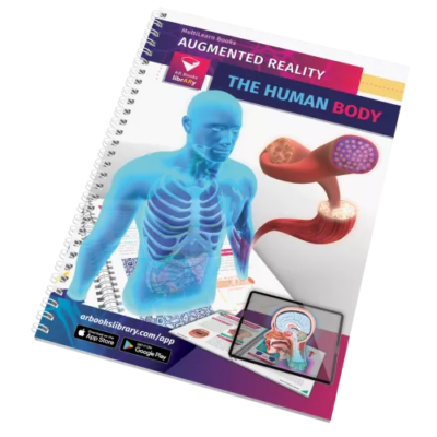 Az emberi test angol nyelvű AR könyv