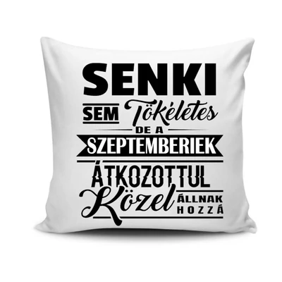 Senki sem tökéletes /párnahuzat